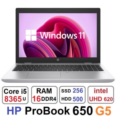 لپ تاپ اچ پی HP ProBook 650 G5 Core i5 8365u رم16و500